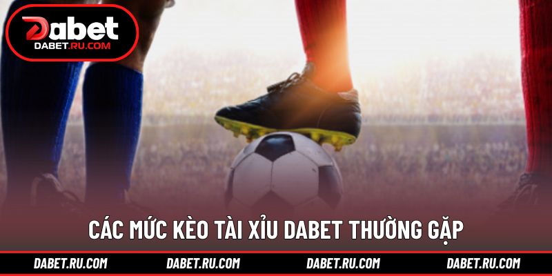 Các dạng kèo phổ biến được nhiều người quan tâm Các dạng kèo phổ biến được nhiều người quan tâm
