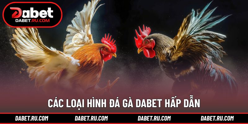 Các hình thức thi đấu phổ biến tại sảnh đá gà DABET Các hình thức thi đấu phổ biến tại sảnh đá gà DABET