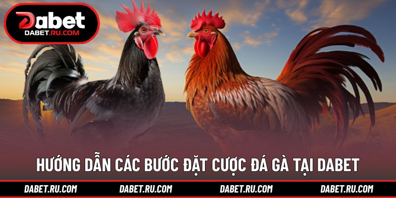 Cách tham gia đá gà tại nhà cái theo từng bước cụ thể Cách tham gia đá gà tại nhà cái theo từng bước cụ thể