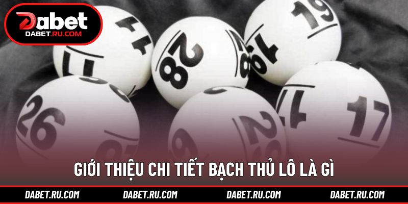 Giải thích khái niệm bạch thủ lô là gì cơ bản