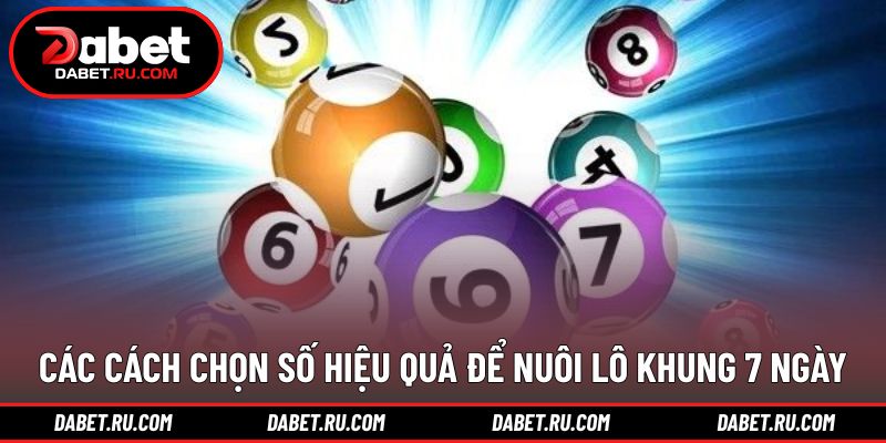 Gợi ý cách chọn số theo dữ liệu thực tế