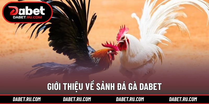 Không gian thi đấu trực tuyến được tổ chức khoa học dễ tiếp cận Không gian thi đấu trực tuyến được tổ chức khoa học dễ tiếp cận