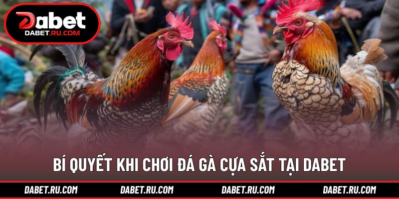 Kinh nghiệm cần nắm khi theo dõi các trận đấu Kinh nghiệm cần nắm khi theo dõi các trận đấu