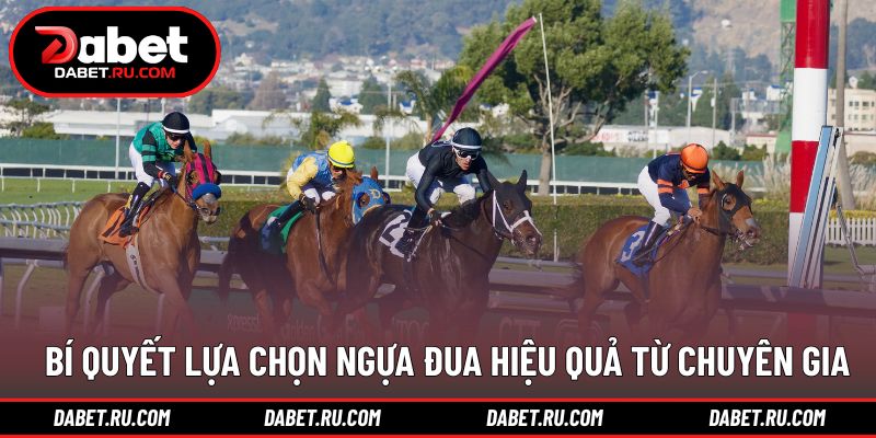 Kinh nghiệm chọn ngựa giúp tăng hiệu quả theo dõi