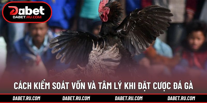 Kinh nghiệm đặt cược đá gà từ DABET cần tìm hiểu Kinh nghiệm đặt cược đá gà từ DABET cần tìm hiểu