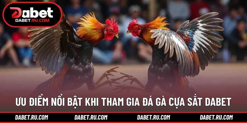 Những lợi thế nổi bật khi theo dõi đá gà cựa sắt DABET Những lợi thế nổi bật khi theo dõi đá gà cựa sắt DABET