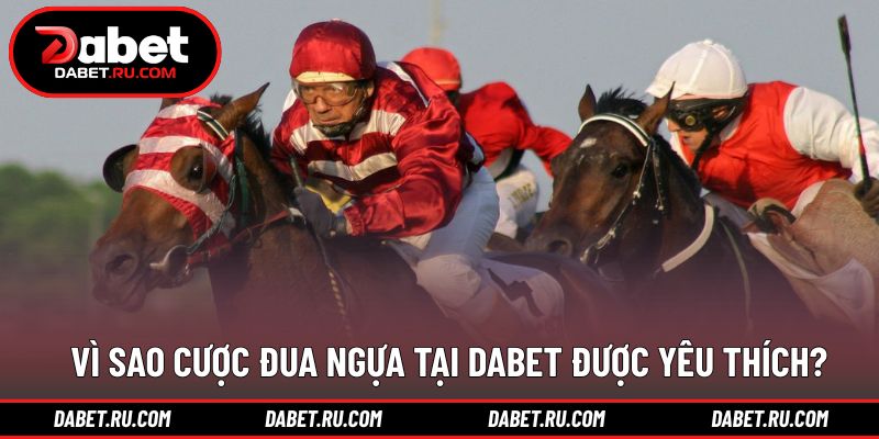 Những yếu tố tạo nên sức hút cho cược đua ngựa DABET