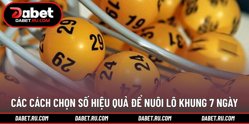 Quản lý vốn khoa học trong chu kỳ theo dõi
